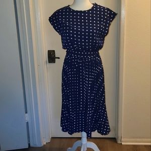 Polka Dot Pleated Dress -new